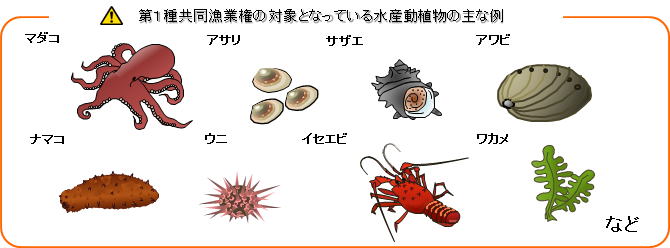 漁業権について 兵庫の海釣り