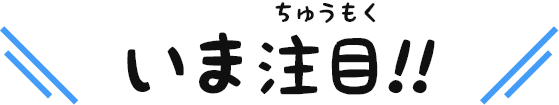 いま注目!!