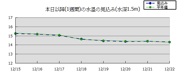 �����\���O���t