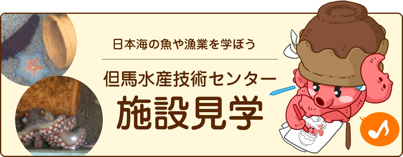 海の生き物と直接触れ合える 但馬水産技術センター見学案内
